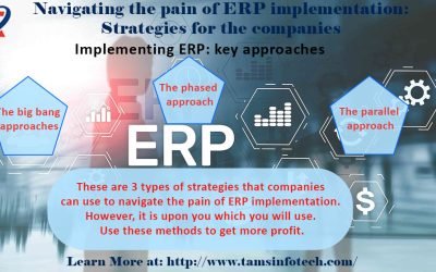 Navigating the pain of ERP implementation: Strategies for the companies